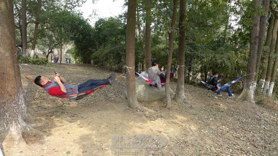 各有所乐 by 拍客mclee 快拍作品_成都图片网(