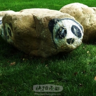 熊猫石