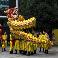 《舞狮迎新年...