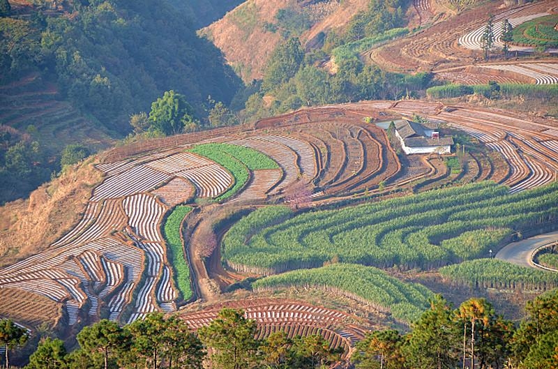 米易新山梯田