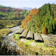 鞍子河秋景