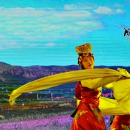 藏羌舞蹈